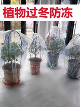 Plant cold-proof warm cover Miawood turquoise with overwinter rain-proof snow cover Warm Film Plastic Bag Antifreeze Tree Cover