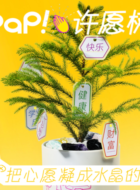 pap许愿树盆栽礼盒创意礼物