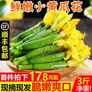 小青瓜花小黄瓜花 新人首单立减十元 21年8月 淘宝海外
