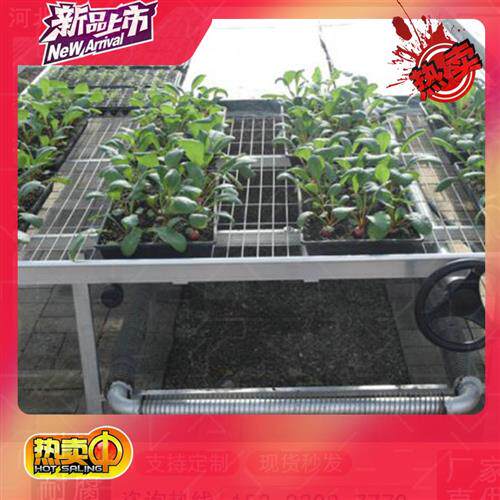 温室花架室内 新人首单立减十元 21年8月 淘宝海外