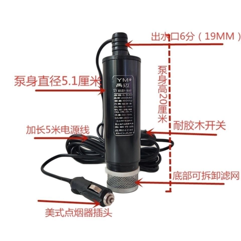 家用220V抽油泵12V24伏抽水泵电动小型车载油抽子潜水泵抽油器-图0