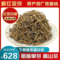 2023 Ming Former Qi Hongjin Sprout Open Garden Head Picking is a single bud ceiling high-end tea upgrade 100-500g