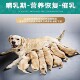 High nutritional dog food after breastfeeding during pregnancy