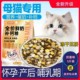 Special cat food for pregnancy and breastfeeding