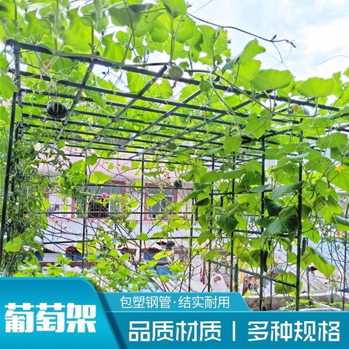 种菜支撑杆园艺支架包塑钢管架子花架爬藤植物户外豆角黄瓜葡萄架