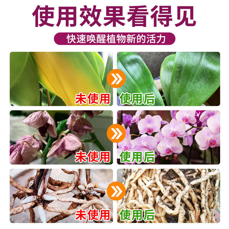 免稀释兰花专用营养液肥兰科植物蝴蝶兰君子兰墨兰促开花有机肥料,淘宝优惠券,粉丝福利购,淘宝优惠卷