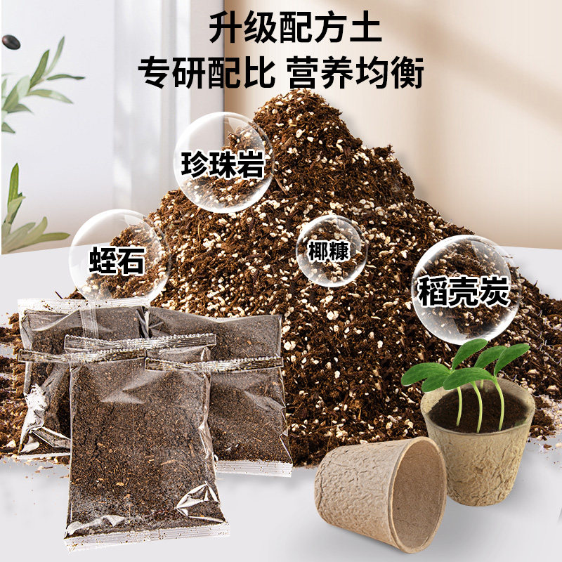 阳光房种植儿童小学生科学实验套装植物观察种菜女孩玩具生日礼物,淘宝优惠券,粉丝福利购,淘宝优惠卷