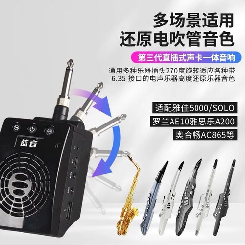 蓝音10W电吹管专用音箱直插式监听内录直播乐器音响雅佳华魅通用 - 图0