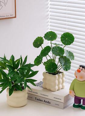 仿真绿植摆件盆栽造景拍摄道具客厅电视柜茶几餐桌工位装饰假植物