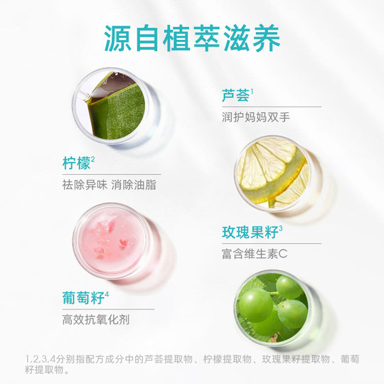 Жидкость для чистки бутылок с фруктами и овощами Wickle, 2 л.