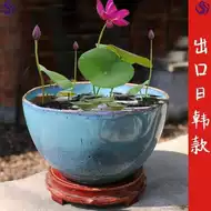 水生植物养鱼 新人首单立减十元 21年7月 淘宝海外