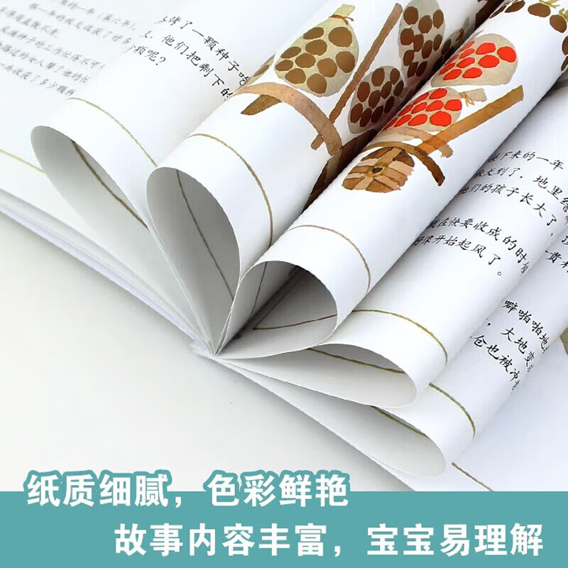 正版 安野光雅美丽的数学系列共5册 故事逻辑推理训练 三只小猪儿童绘本 儿童小学数学思维训练启蒙系列