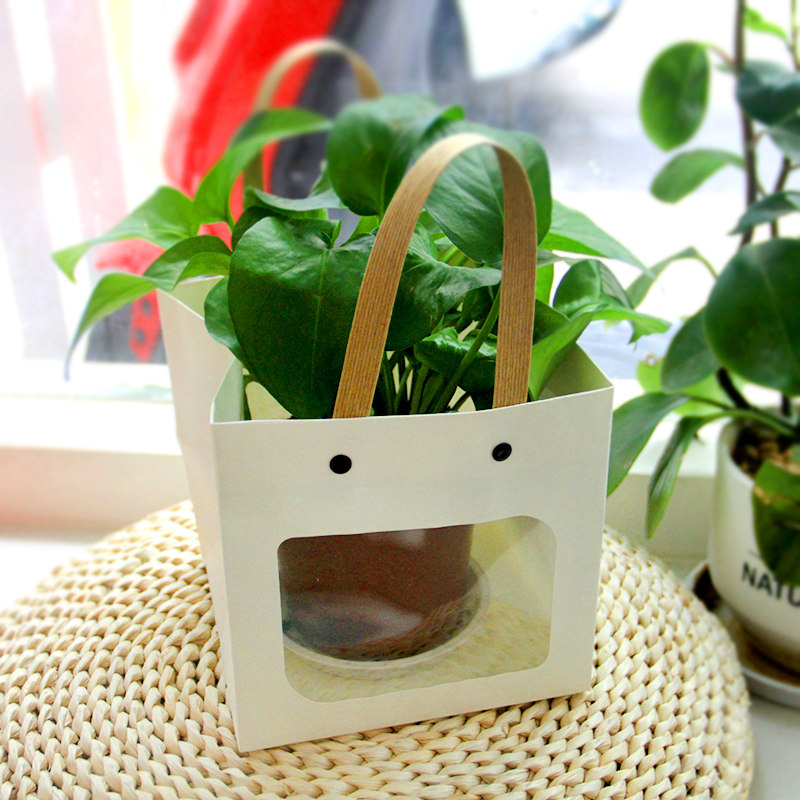 网红笑脸方袋多肉花艺手提纸袋正方形礼品袋植树节礼物包装袋小号,淘宝优惠券,粉丝福利购,淘宝优惠卷