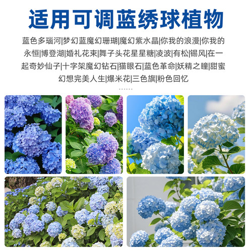 绣球调蓝剂绣球花变蓝专用肥料硫酸铝营养缓释肥无尽夏蓝色调色剂 - 图2