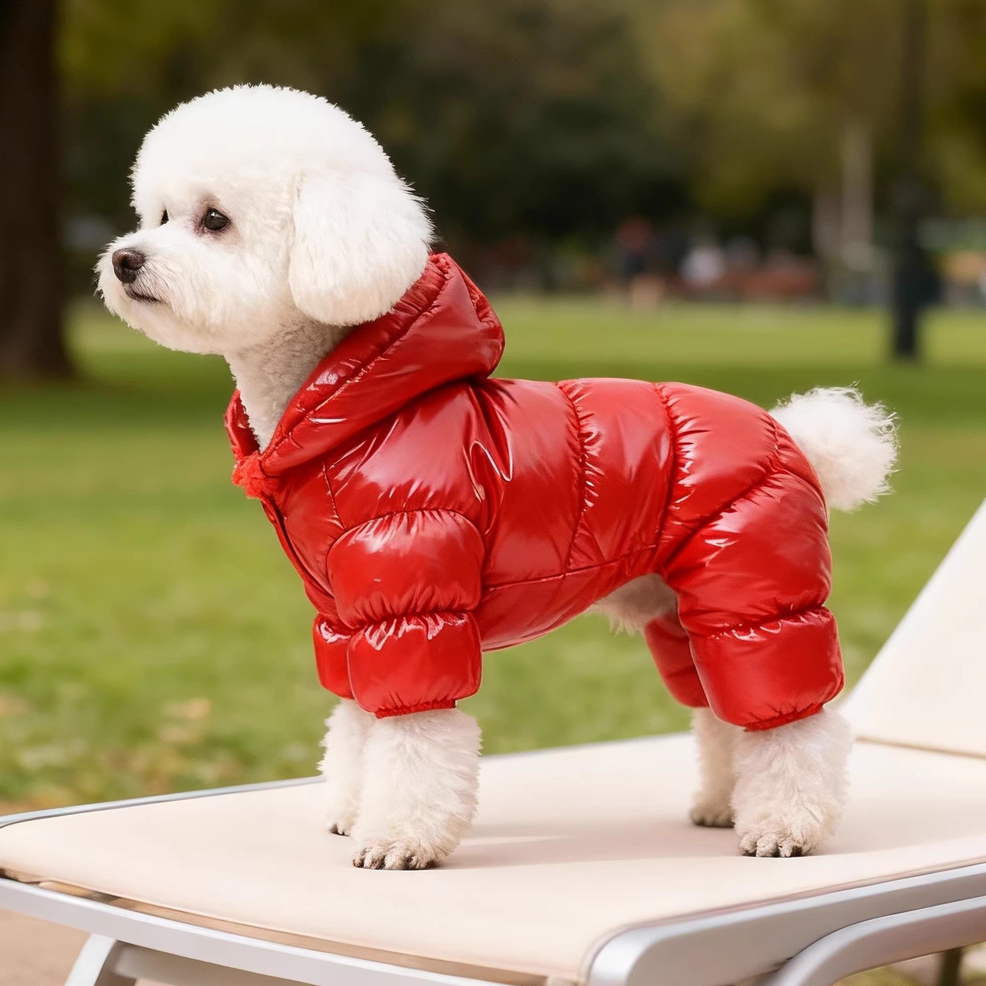 狗狗衣服冬季保暖四脚衣红色羽绒服防水户外休闲棉衣比熊宠物服装,淘宝优惠券,粉丝福利购,淘宝优惠卷