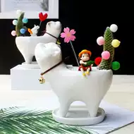 多肉植物猫推荐品牌 新人首单立减十元 21年6月 淘宝海外 多肉植物猫推荐品牌 新人首单立减十元 21年6月 淘宝海外