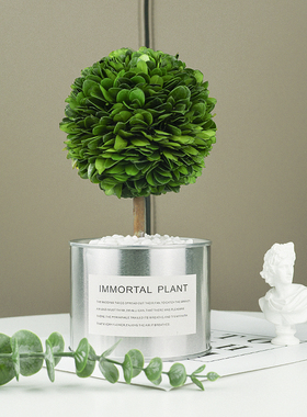 北欧风创意摆件客厅电视柜装饰品