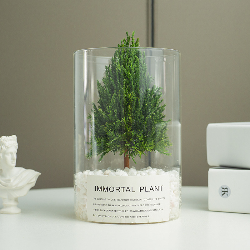 桌面小型圣诞树办公室放青松真植物摆件工位情绪稳定神器节日礼物