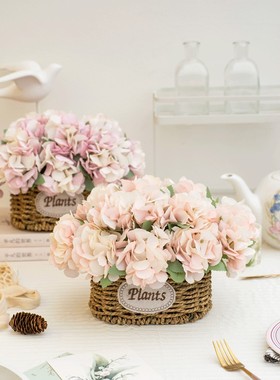 冰箱顶上面的摆件冰箱上放的装饰花空调柜机客厅鞋柜上摆的装饰品