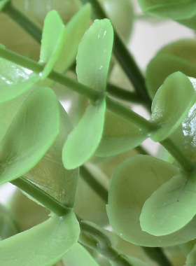 仿真把束尤加利叶子绿色家居装饰植物摆件绿化绢布仿真金钱叶