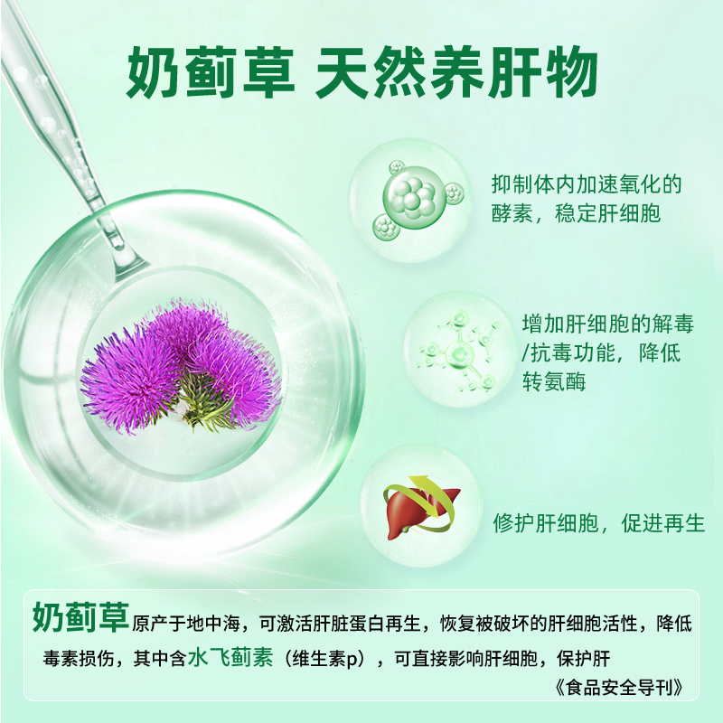 德国进口水飞蓟素奶蓟草护肝片降转氨酶熬夜健旰加班肝脏男女保健