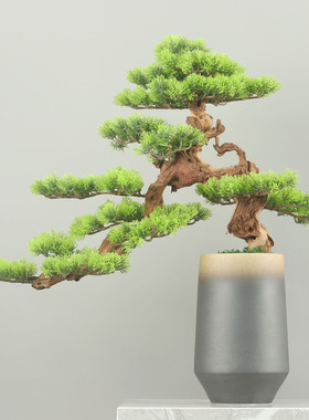 仿真迎客松售楼处摆件新中式