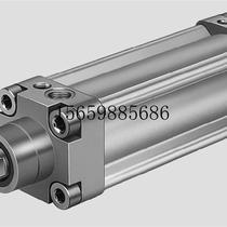Bargaining standard cylinder FESTO DNU-32-100-PPV-A 14125 bargain price