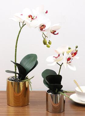 仿真假花蝴蝶兰装饰客厅摆件家居盆栽餐桌北欧花卉花艺手感植物小