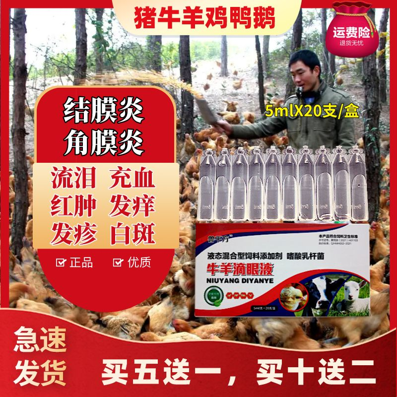 禽鸡鸭鹅用滴眼液牛羊猪结膜炎流泪发红流泪眼屎发白药水肿传染性 - 图0