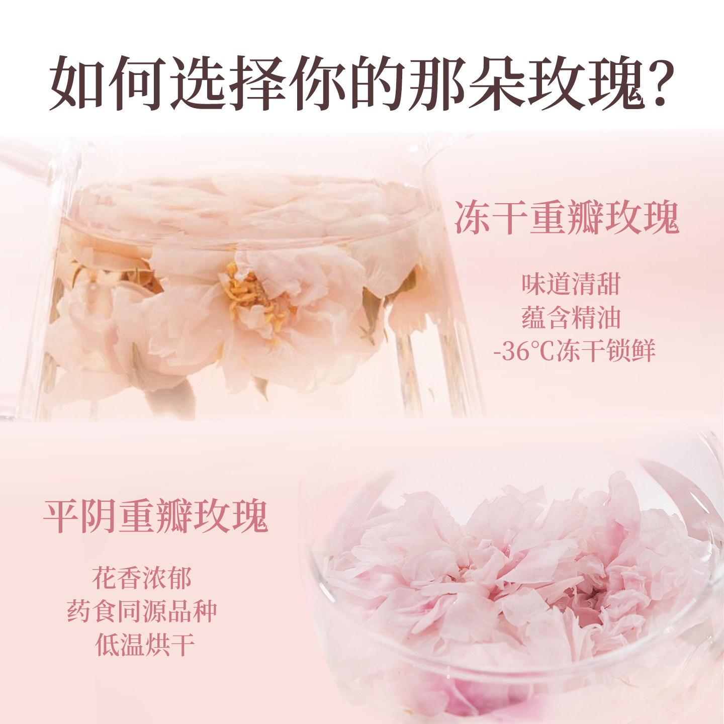 【明星同款】骄慕冻干重瓣玫瑰花茶12g/瓶无硫熏无农残冻干玫瑰花,淘宝优惠券,粉丝福利购,淘宝优惠卷