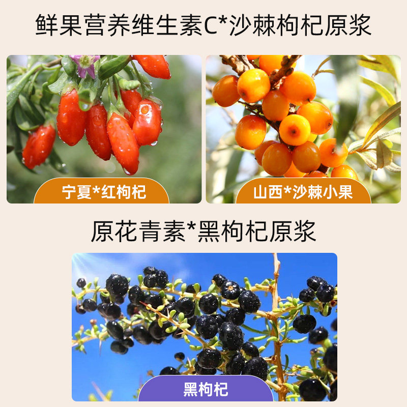 骄慕joy mood黑枸杞沙棘宁夏鲜原浆 骄慕枸杞原浆/枸杞制品