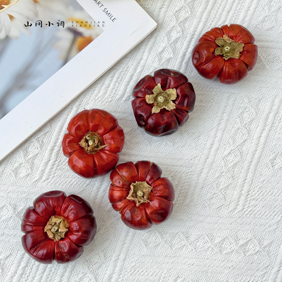 迷你小南瓜进口天然植物果实干花包节日场景装饰布置干果拍摄道具,淘宝优惠券,粉丝福利购,淘宝优惠卷