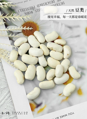 豆类干花 手工DIY材料素材拍摄道具餐厅酒店装饰容器幼儿环创教育