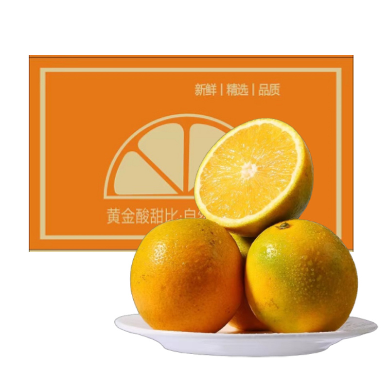 正品励志褚花斑橙高原花斑橙正宗时建 甜当季橙王子云南花斑LOZT - 图1
