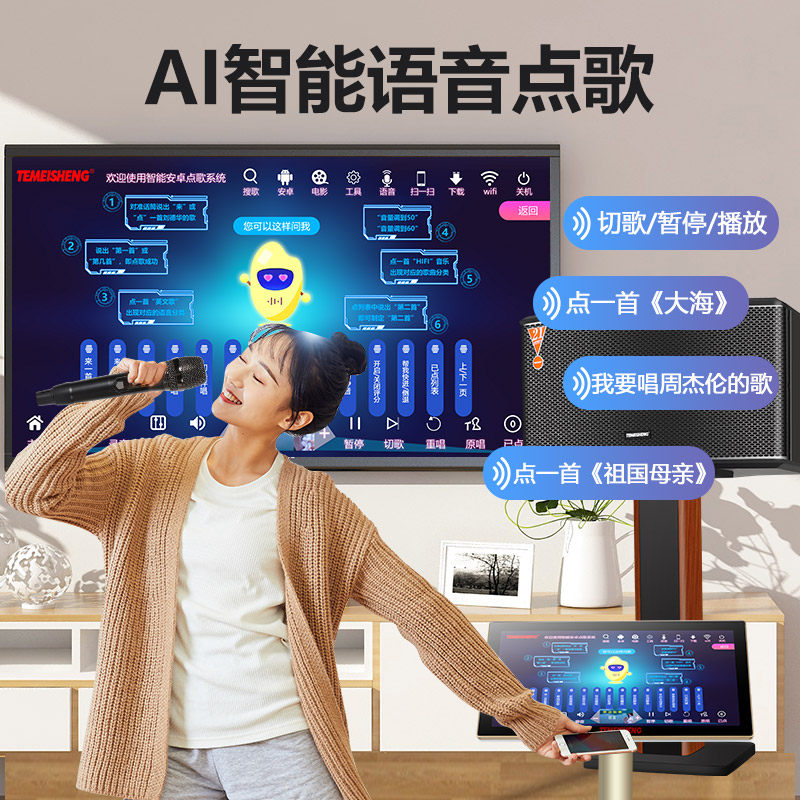 特美声家庭ktv套装卡拉ok点歌机 temeisheng山水国际KTV/卡拉OK音箱