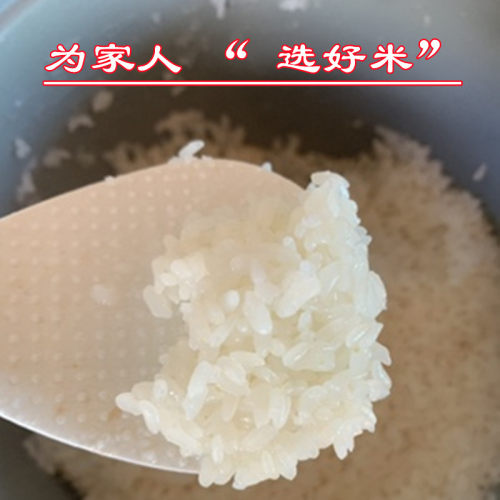 乡途25年新大米20斤江苏泰州10斤南粳5055香软米晚粳稻米苏北梗米 - 图1