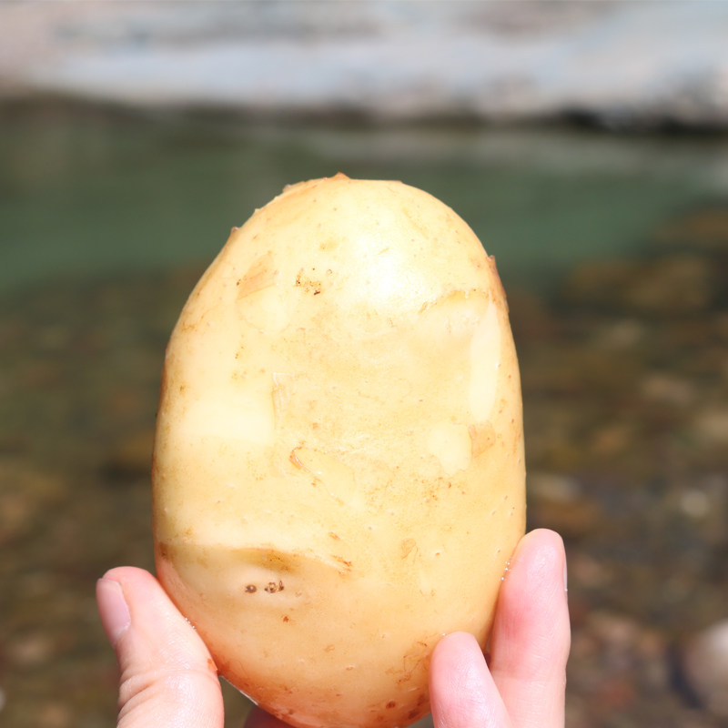 湖北五峰小土豆10斤整箱高山新鲜洋芋迷你黄皮黄心士豆马铃薯蔬菜,淘宝优惠券,粉丝福利购,淘宝优惠卷