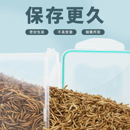 面包虫干仓鼠零食黄粉虫鹦鹉鸟龟粮食金丝熊饲料刺猬黄粉虫用品4L - 图0