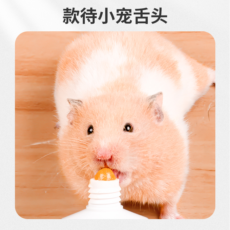 仓鼠营养膏金丝熊刺猬营养补充化美毛助长怀孕期荷兰猪小宠物用品 - 图3