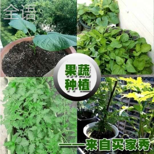 花土营养土通用型种花养花种菜土壤30斤大包种植土壤有机肥料包邮-图3