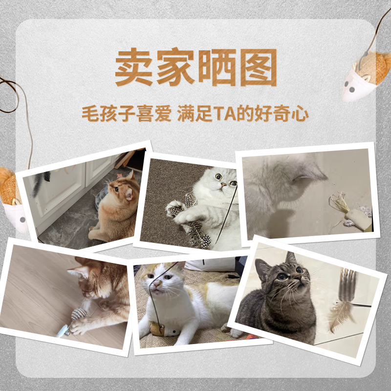 CHH猫咪玩具逗猫棒长杆羽毛自嗨解闷木天蓼磨牙耐咬猫猫用品大全-图0