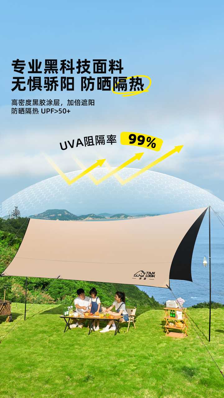 探餐露79胶天篷幕帐户外露营装备全套野营野防晒八角蝶形遮阳黑棚 - 图3