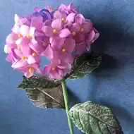 紫阳花绣球花 新人首单立减十元 21年9月 淘宝海外