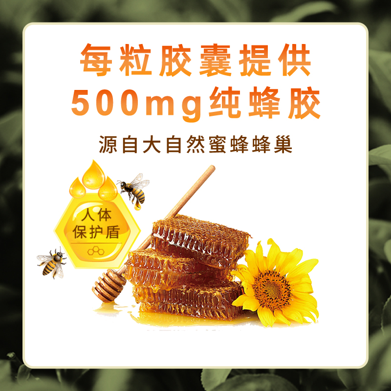 加拿大HOLISTA黑蜂胶500毫克180粒高浓度胶囊Propolis - 图1