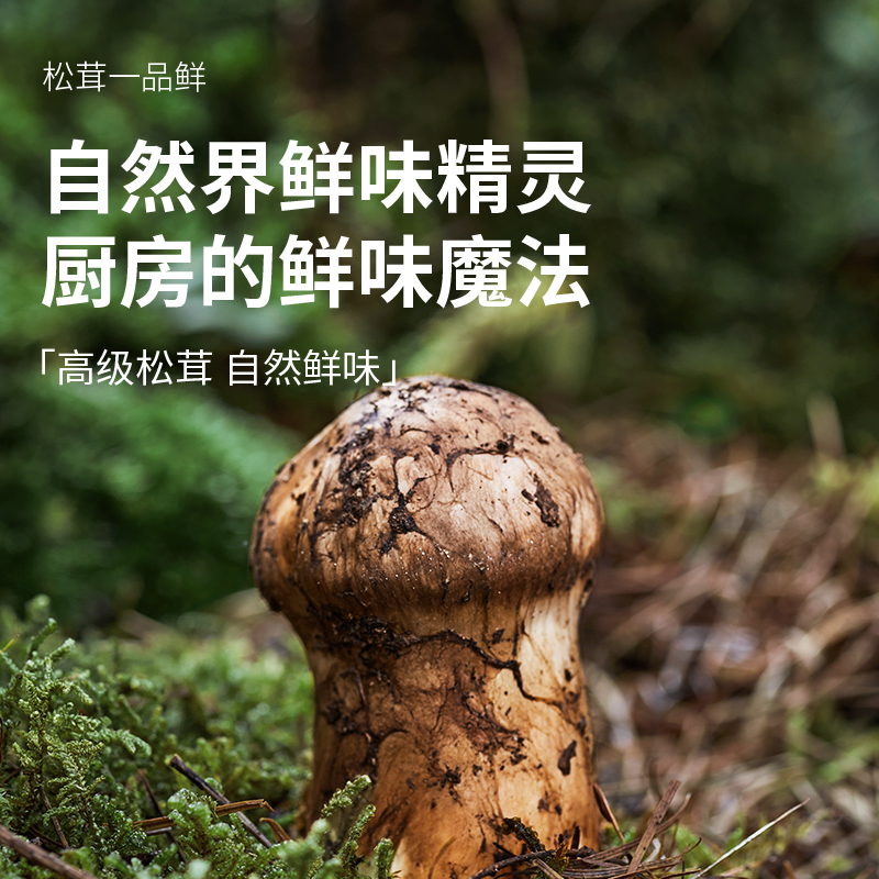 松鲜鲜松茸一品鲜580g*2代替生抽炒菜鲜零添加凉拌家用百搭调味汁 - 图2