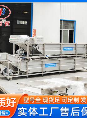 多功能气泡清洗机 预制菜中央厨房果蔬洗菜机 蛤蜊鸡翅清洗机