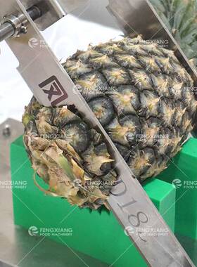 凤翔 工厂直营菠萝处理设备套装一站式菠萝去皮切圈加工生产线