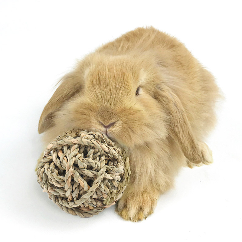 【兔兔玩具草球解闷】提摩西草球兔子天然海草球手编磨牙玩具益智,淘宝优惠券,粉丝福利购,淘宝优惠卷