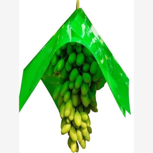 葡萄伞罩遮阳纸阳光玫瑰伞袋专用防日灼水鸟裂夏黑套袋纸帽修穗剪 - 图3