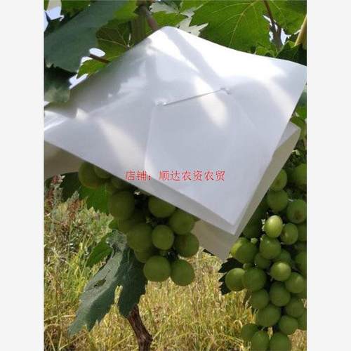 葡萄伞罩遮阳纸阳光玫瑰伞袋专用防日灼水鸟裂夏黑套袋纸帽修穗剪 - 图0